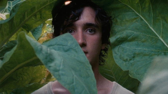 Happy As Lazzaro