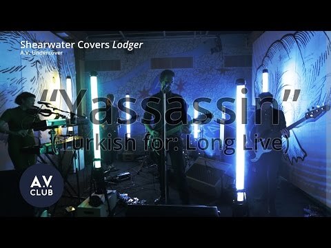 Shearwater covers David Bowie's 